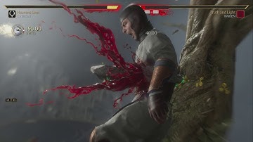 Mortal Kombat 11 Cetrion Fatal Blow