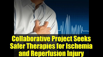 Collaborative Project Seeks Safer Therapies for Ischemia and Reperfusion Injury