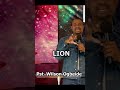 THE LION IS NOT THE BIGGEST IN THE FOREST