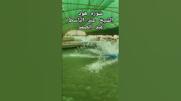 وَلَا أَقُولُ إِنِّي مَلَكٌ / سوره هود /عبد الباسط عبد الصمد #القرآن_الكريم #quran #اكسبلور