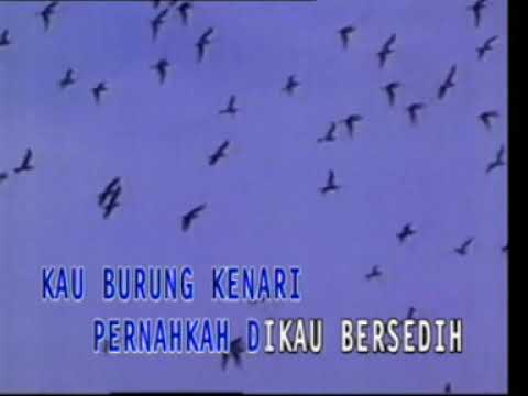 Koes Plus - Pagi Yang Indah (Koes Bersaudara cover) [KARAOKE]