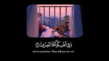 Statut WhatsApp Quran -تلاوة خاشعة للقرآن الكريم- [وفي انفسكم افلا تبصرون...]