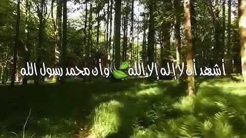 تلاوة من سورة الأنعام / معاذ العيد