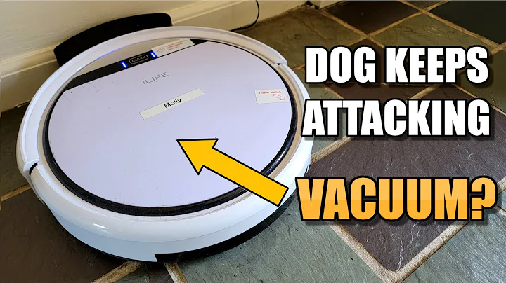 How To Stop Dog From Attacking ILIFE Pro Robot Vacuum