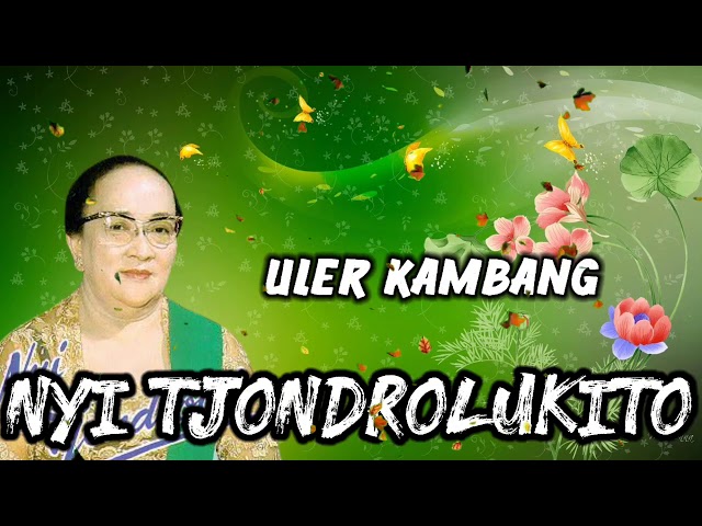 ULER KAMBANG KUTUT MANGGUNG - NYI TJONDROLUKITO TERPOPULER !!! class=