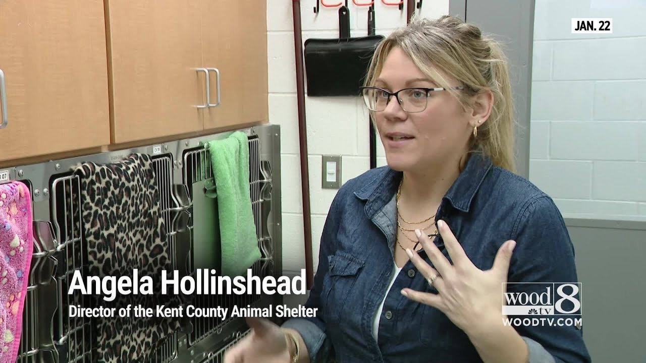 Keep pets indoors as temperatures drop, says animal shelter