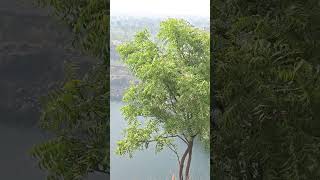 #niceplace #beautiful #viralvideo #viralsong #placename #gaya #likeandsubscribe