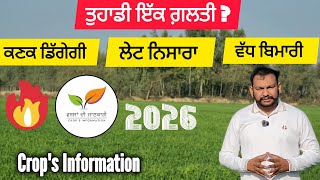 26 ਜਨਵਰੀ ਤੋਂ ਬਾਅਦ ਕੀਤੀ ਗਈ ਕਣਕ ਵਿੱਚ ਇੱਕ ਗਲਤੀ ਝਾੜ ਘਟਾਏਗੀ Late urea bad effects in wheat crop  screenshot 2