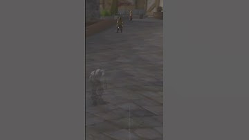 Thomas Miller gets capped in Trade District #turtlewow