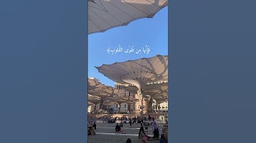 سوره الحج آيه 33 الشيخ ماهر المعيقلي
