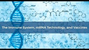 The Immune System, mRNA Technology and Vaccines