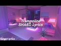 Trampoline || SHAED Lyrics
