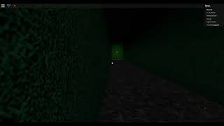 Identity Fraud Roblox - Maze 2 Tutorial