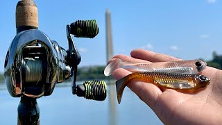 Fishing Realistic Lures In The Washington Dc Tidal Basin ft A Pro Bass Angler