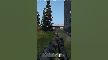 we took over on this new PvP DayZ server