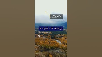 سورة يونس الآية 42-46