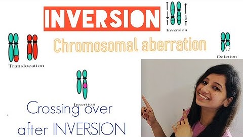 Inversion|Paracentric|Pericentric|Crossingover After INVERSION|CSIRNET|GATE|IITJAM|MSC|BSC|LIFE SCIE