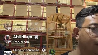 bongkaran murah meriah dapat murai istimewa 2 ekor dan bongkaran pentet cerucuk kolibri ninja