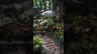 ️ Sleep Instantly with Soothing Rain Sounds for Relaxation, Stress Relief | #Shorts #Relaxtion