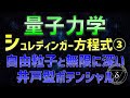 03-3. 量子力学 自由粒子、無限に深い井戸型ポテンシャル