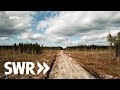 Die Ausbeutung der Urwälder | SWR Doku