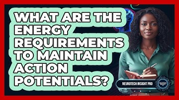 What Are The Energy Requirements To Maintain Action Potentials? - Neurotech Insight Pro