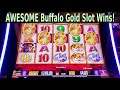 Buffalo gold slots  awesome win compilation