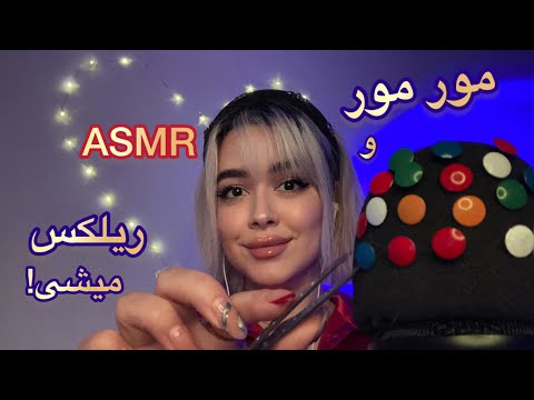    کلی تحریک و مورمور میشی
