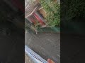 Mera gali me ganga ji aaye