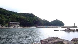 シジミを踏んで潰しまくる