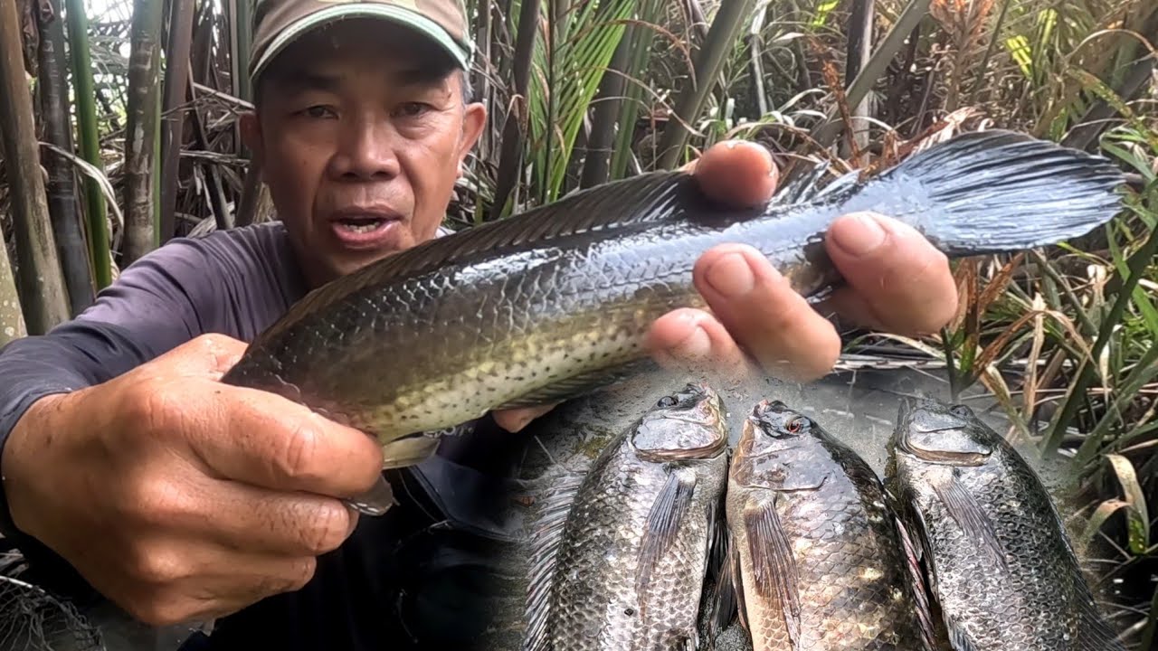 Thăm Luồn Lờ Cuối Năm Gặp Con Cá Lớn Kéo Lờ Đi Mấy Thước Luôn 