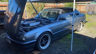 1994 530i (E34) 5-Speed Revival - Fixing, Driving, Start-Up