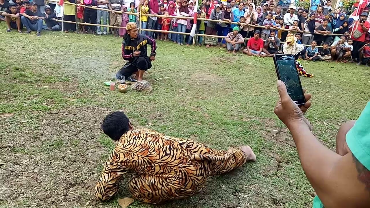 Atraksi Macan & Manuk Ebeg WAHYU TURONGGO SETO Wanakropo Somagede (35)