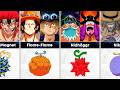 All One Piece Characters Who Ate the Same Devil Fruit | AnimeVerse