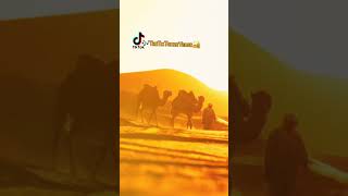 #desert🐫beauty🏜️ #tiktokdiscovery #10millionadoptions #📈Hacker👺tripple🌠 #kanyecrazycool😎