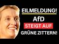 🚨 SENSATION! -  AfD BEI 20% - GRÜNE ZITTERN! 🚨