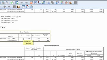 SPSS Assignment 4 Example Part 2