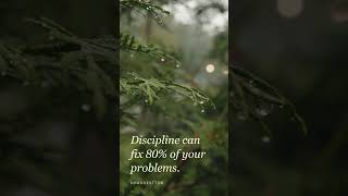 Discipline Can Fix 80% Of Your Problems Life Motivation Dhanvesttor