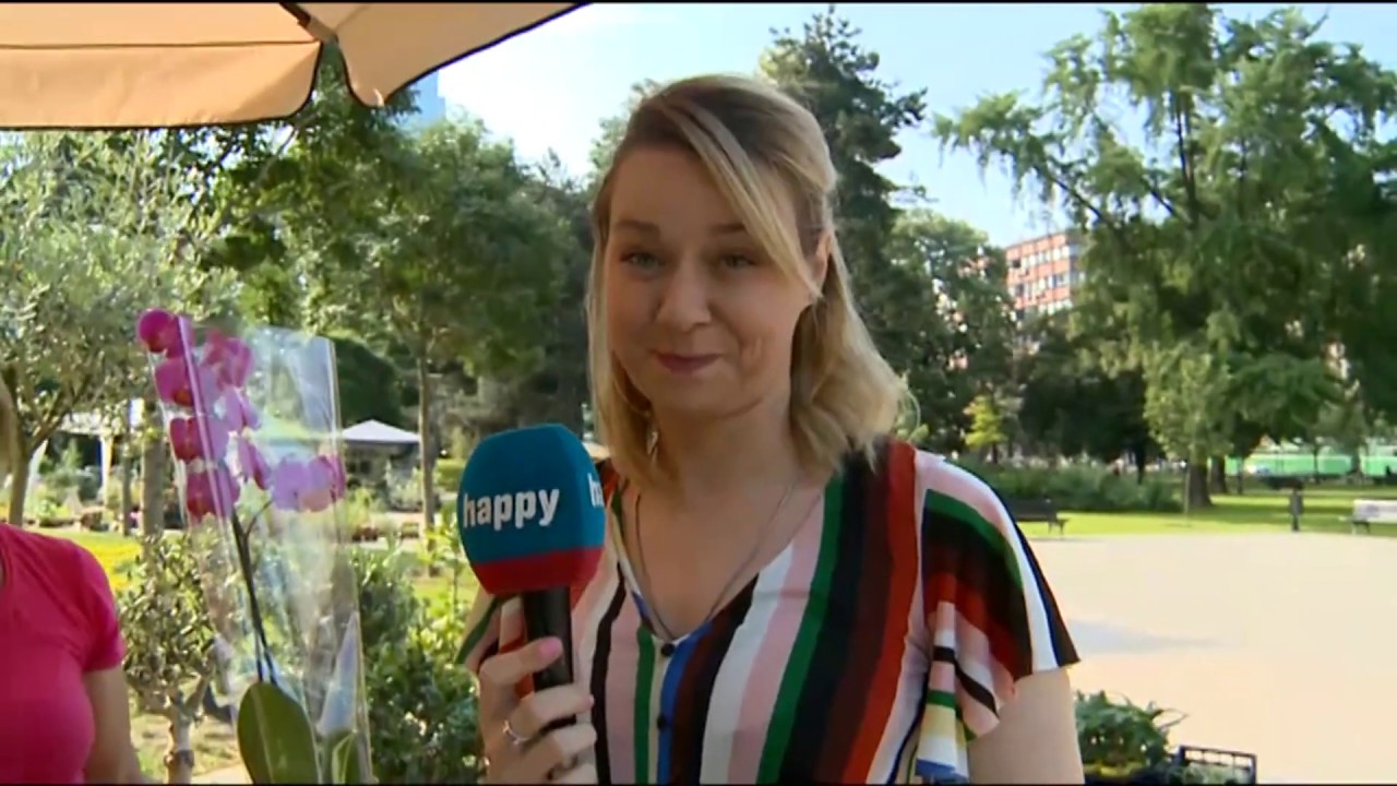 Sajam cveca sa Anom! - DJS - (TV Happy 07.06.2019) jutro pogoda kraków