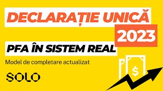 Model completare Declarație Unică 2023 pentru PFA în Sistem Real