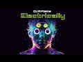 DJ R Flame - Electrically (Techno)