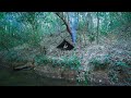 Solo Bushcraft Winter Camping - Build Underground Survival Shelter - Fireplace - Fireplace Smoke