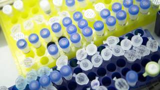 Blue Sky Science: Could scientists build a virtual brain and body for research?