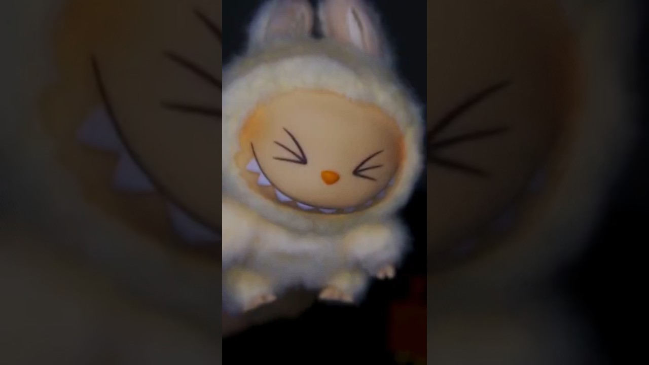 Unboxing a Labubu