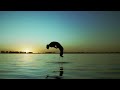 KHEA - SEROTONINA (Extended Trailer)