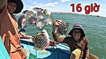 16 Giờ Ở Ngoài Ghe Câu Cá Bẫy Rạp Của Team Thợ Lặn 86 Mùa Biển Động | P 812