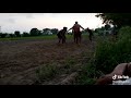 Kabaddi jaan punjabiyan naeem jutt