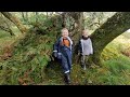 Survival Camping in Primitive Shelters & Coastal Foraging (Scottish Highlands)