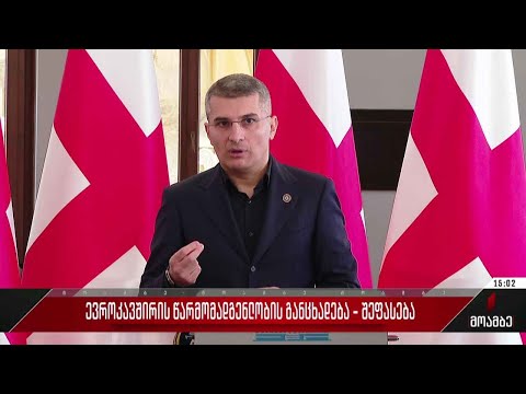 ევროკავშირის წარმომადგენლობის განცხადება - შეფასებები