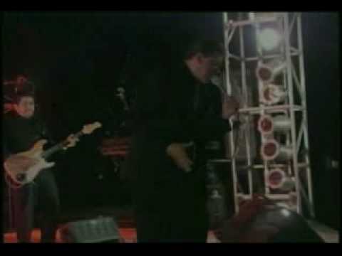 Los Terricolas- Lloraras